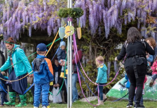 Eine Gruppe von Kindern und Erwachsenen um einen Maibaum, der mit bunten Bändern geschmückt ist. Im Hintergrund blühen lila Wisteria-Blüten.